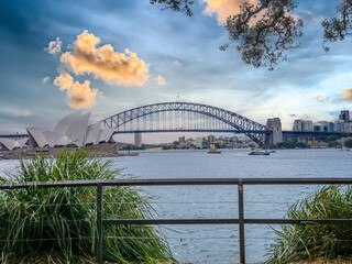 11 November 2025 View of Australian Sydney Harbour Bridge from Botanical Gardens  on the harbour foreshore  in Sydney NSW Australia