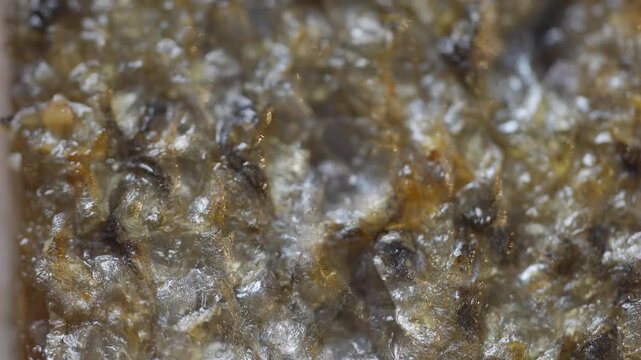 A close up of a rock with a lot of small holes in it. The rock is brown and has a grainy texture