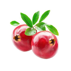 Two Pomegranates with Leaves on Transparent Background