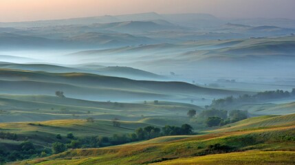 Fototapeta premium Rolling green hills in a valley covered by morning fog during sunrise, creating a mystical landscape view