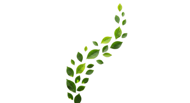 Green leaves flowing upward against black background