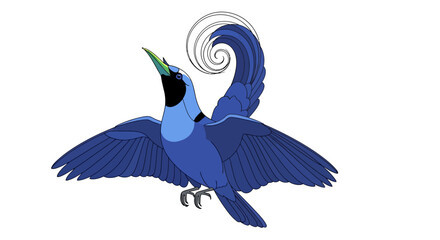 Vogelkop superb bird-of-paradise illustration in blue color.