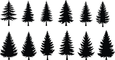 Conifer tree silhouettes, pine, fir, spruce, evergreen forest icons, black vector trees, nature clipart, isolated graphic elements