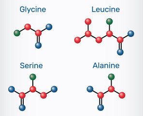 Amino acids glycine (Gly), alanine (Ala), serine (Ser) and leucine (Leu) molecular structures. Molecular model. Vector Illustration