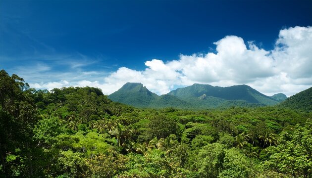 tropical forest and mountains under blue sky