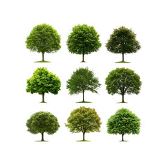 Trees collection on Transparent Background