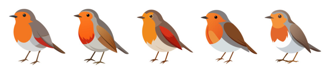 Charming robin bird art isolated on white minimalist design