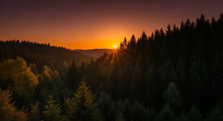 Sunset over a forested landscape with vibrant orange sky.