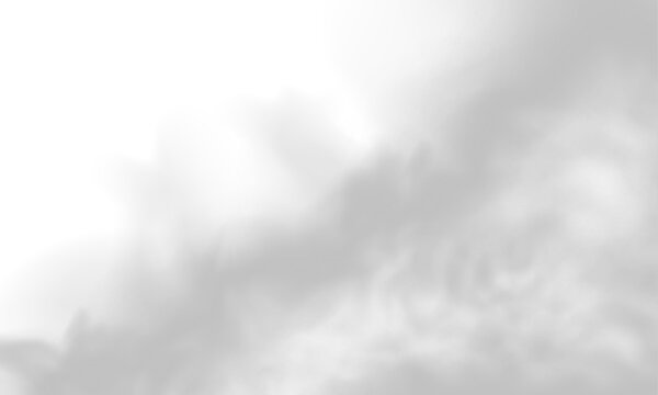A wide sheet of fog rolls gently over the dark frame. Light diffuses softly through its flowing layers. The texture creates a calm eerie tone. PNG