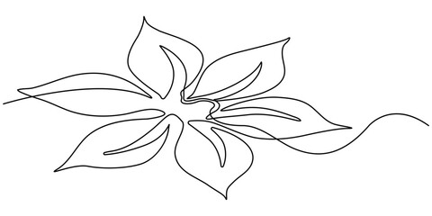 Hand drawn continuous line drawing of abstract flower, floral, ginkgo, rose, tulip, bouquet of olives. Vector illustration.
