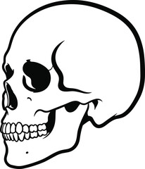 Human skull side view outline drawing, detailed bone anatomy illustration, spooky halloween art, black and white skull vector design