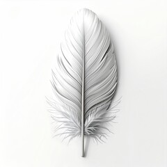 Obraz premium White feather, detailed structure on a white backdrop
