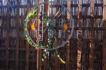 An upcycled bicycle rim repurposed as a climbing support for ivy on balcony