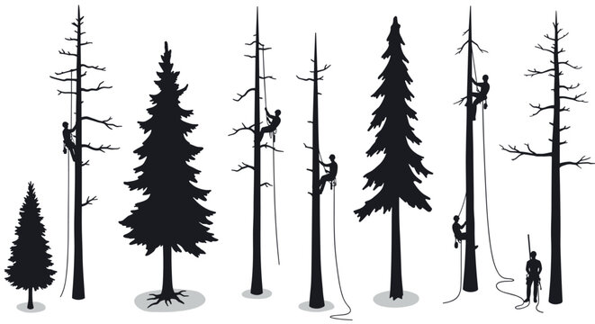 Silhouette climbers ascending tall trees in forest scene