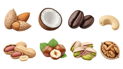 Vector illustration of assortment of nuts and coffee beans on a transparent background