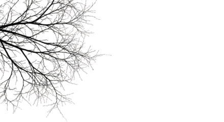 Dark abstract background with organic leafy texture