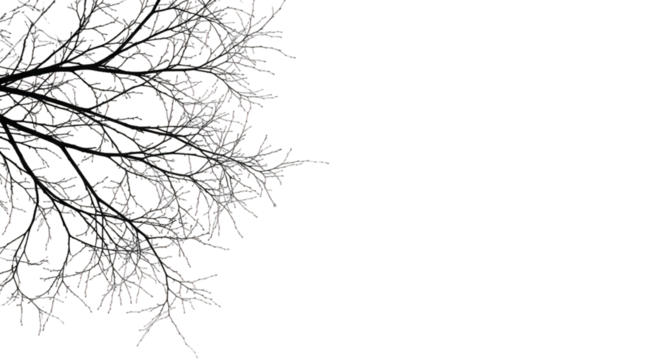 Dark abstract background with organic leafy texture