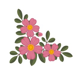 Delicate pink wildflowers with green leaves in a corner arrangement for floral design