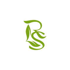 letter R leaf, with letter S logo, nature green