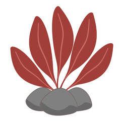 Red Seaweed illustration