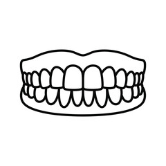 Human teeth and mouth