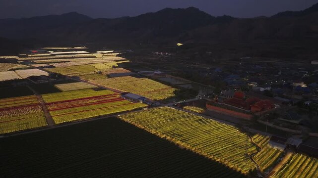 Aerial view of neatly organized illuminated fields contrasting with the dark mountains and buildings in the distance, Mengla, China.