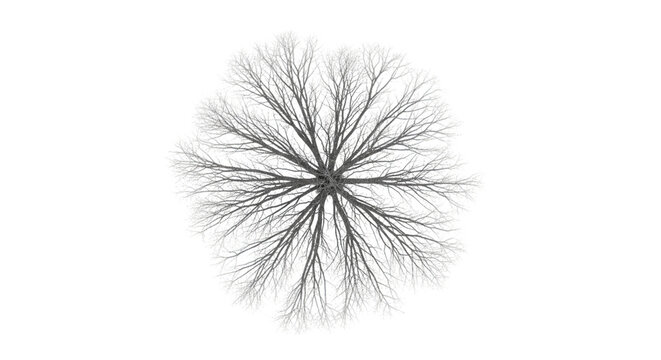 Abstract fractal pattern resembling a snowflake or neural network