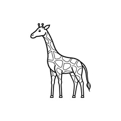 Simple line drawing of a giraffe isolated on white background

