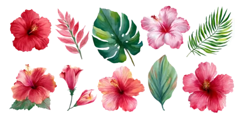 Fototapeten Gemalte Blumen Vibrant tropical hibiscus flowers and exotic green leaves watercolor illustration set  © DARK TRUST