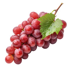 Fresh Red Grapes Bunch with Water Droplets. Healthy Fruit Snack & Produce. on transparent background