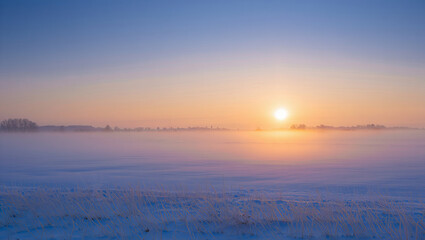 Peaceful winter sunrise over a snowy field covered in frost, with bare trees glowing softly through morning mist.