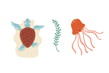 Vector  cartoon hand-drawn illustrations of a turtle, jellyfish, and seaweed. Sketches of sea details.