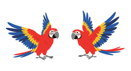Two colorful macaws with wings spread open in flight against a white background.