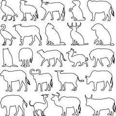 Wild Animal Outline Illustration Bundle Featuring Diverse Safari and Forest Creatures in Minimal Line Style