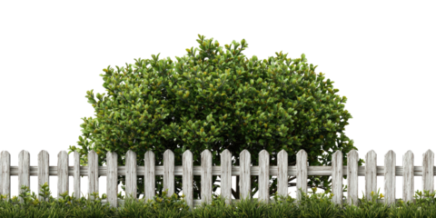 A white picket fence, green bush, and grass against a black background
