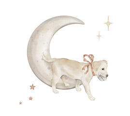 Watercolor composition with character beige puppy dog isolated on background with moon and stars. Hand drawn illustration sketch Labrador runs with a ball in his teeth and a red bow around his neck