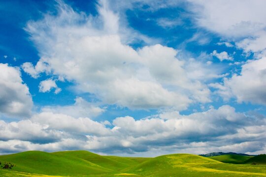 Fluffy clouds in a blue sky over a rolling grassland landscape, California, USA