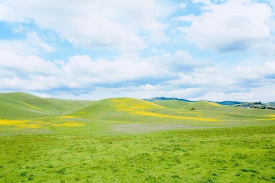 Fluffy clouds in a blue sky over a rolling grassland landscape, California, USA