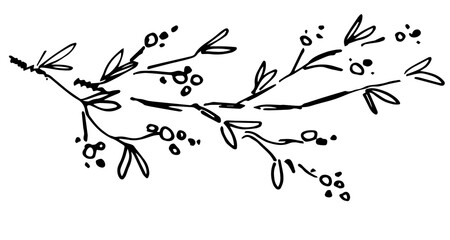 A branch with winter berries and leaves. Nature and vegetation, plants, mistletoe. Flowering trees. Hand-drawn vector illustration with a black outline.