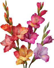 red and yellow flowers