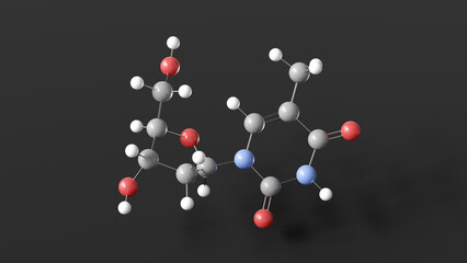 thymidine molecule 3d, molecular structure, ball and stick model, structural chemical formula dna precursor