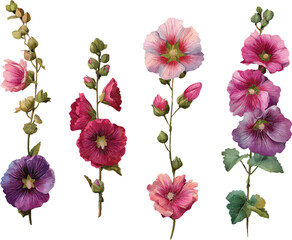 set of flowers isolated
