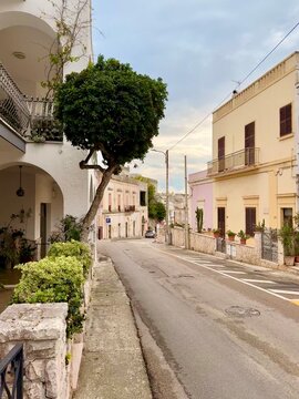 Empty street with traditional houses on an autumnal day, Castro, Puglia, Italy