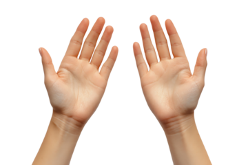 Open hands raised in greeting or surrender against a white background.