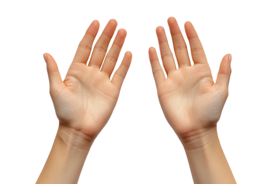 Open hands raised in greeting or surrender against a white background.