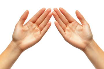 Two open hands positioned to create a sense of offering or receiving, isolated on white background.