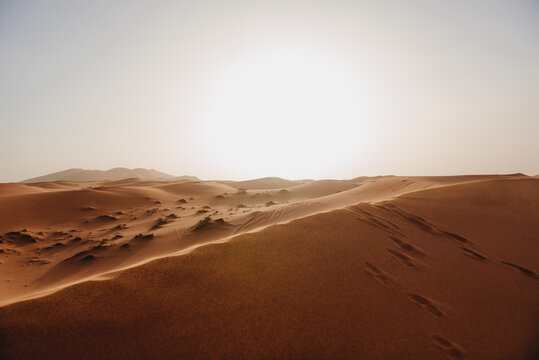 Sand dunes in the Sahara Desert at dusk, Merzouga, Errachidia Province, Draa-Tafilalet region, Morocco