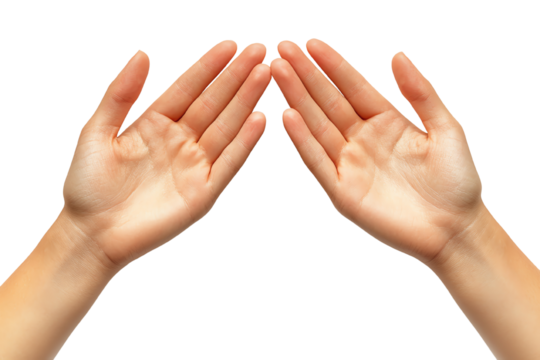 Two open hands positioned to create a sense of offering or receiving, isolated on white background.