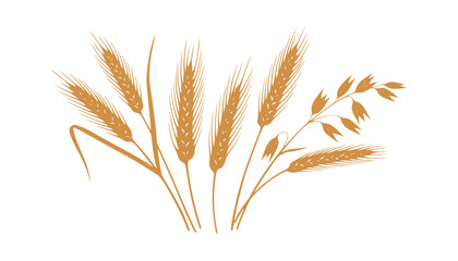 Watercolor illustration of wheat ears and dried stalks, set against a white backdrop. Includes hand-drawn spikelet of rye and oat. Great for advertising, packaging, labels, and bakeries.