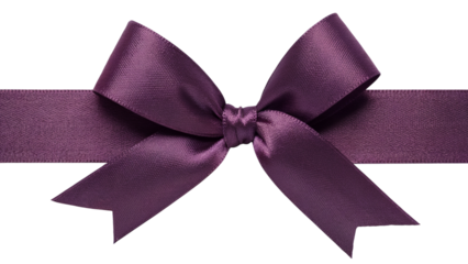 elegant and simple purple ribbon bow tied in a perfect form . Isolated on transparent background, png